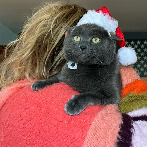 Hi! It’s Me, Kylo! - Picture 4 of 8